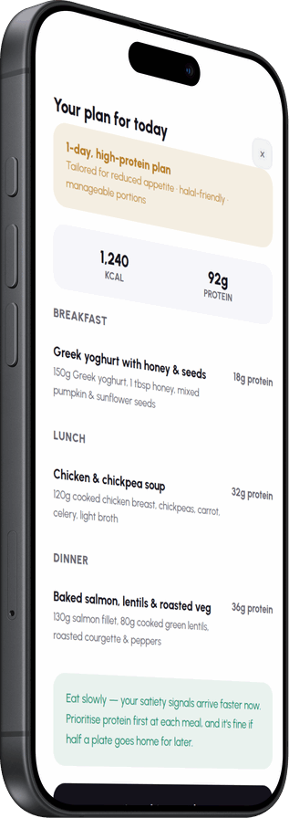 The app’s day plan, three meals with the protein in each counted against the day’s total